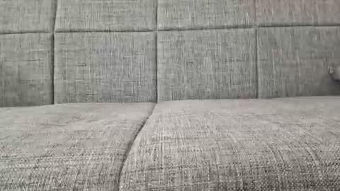 XXL online show from April 19, 3:39 am