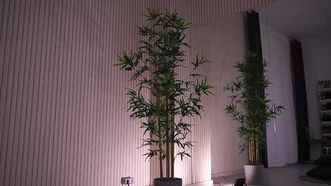 Alexa online show from January 23, 9:39 am