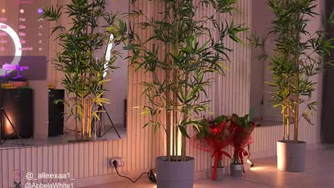 Alexa online show from February 3, 9:52 am