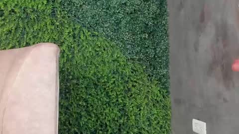 A B B Y online show from February 11, 3:18 pm