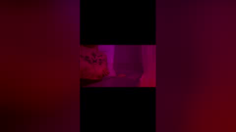 Snapshot of abigrace chatting on April 10, 12:27 am abigrace online show from April 10, 12:27 am