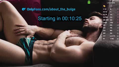 Snapshot of about_the_bulge chatting on February 4, 3:22 am about_the_bulge online show from February 4, 3:22 am