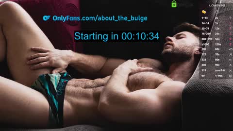 Snapshot of about_the_bulge chatting on March 10, 2:17 am about_the_bulge online show from March 10, 2:17 am