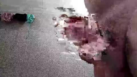 ac7492291 online show from January 14, 2:33 pm