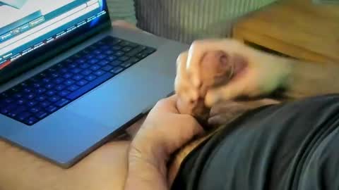 ACHTINCH online show from January 15, 7:24 am