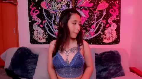 Ali Next Stream  01122024 - GMT-5  online show from April 22, 10:55 pm