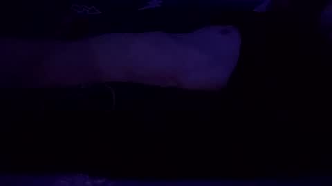 Snapshot of adamllamas chatting on March 8, 7:49 am adamllamas online show from March 8, 7:49 am