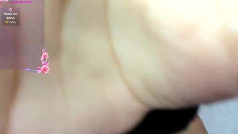 ADAMS Y NIKI online show from November 3, 12:39 pm