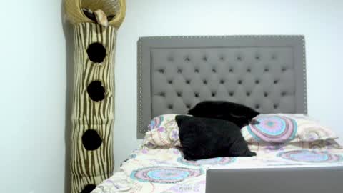 eva online show from January 15, 12:09 am