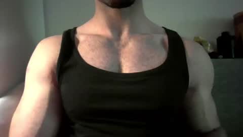 Snapshot of adem1ek chatting on November 9, 1:31 pm adem1ek online show from November 9, 1:31 pm