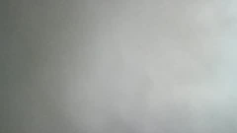 Snapshot of adi2019 chatting on January 8, 11:54 am adi2019 online show from January 8, 11:54 am