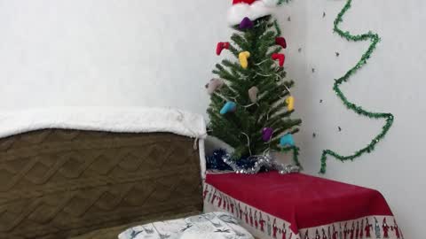 Agatha online show from January 2, 11:52 am