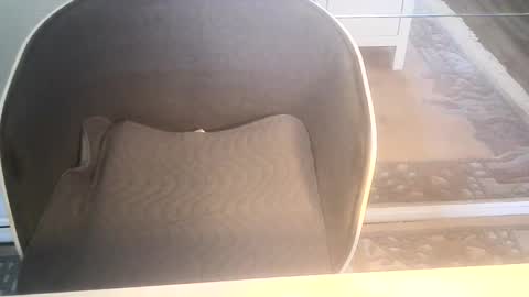 Ole online show from January 10, 9:34 am