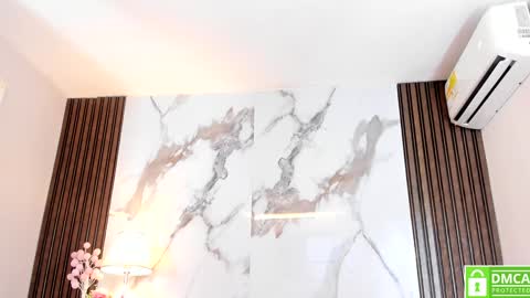 Snapshot of aidaadams chatting on January 22, 6:31 pm Aida  online show from January 22, 6:31 pm