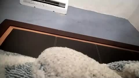 airoon91 online show from November 16, 5:24 am