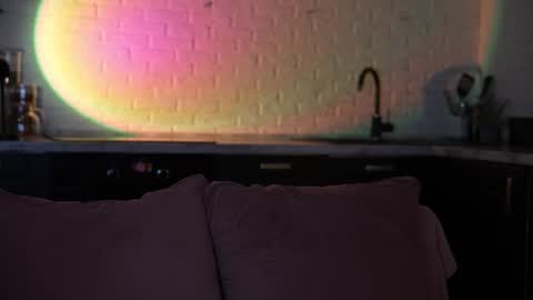 Snapshot of al1ce_fox chatting on January 13, 7:08 pm Alice and Nate online show from January 13, 7:08 pm