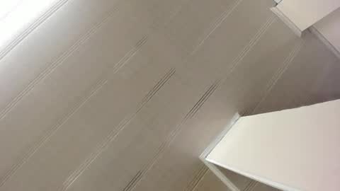 Maeve  online show from January 7, 10:54 am