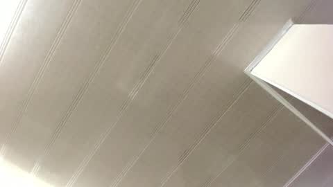 Maeve  online show from February 12, 10:35 am