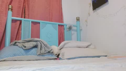 Alaska online show from December 23, 6:11 am