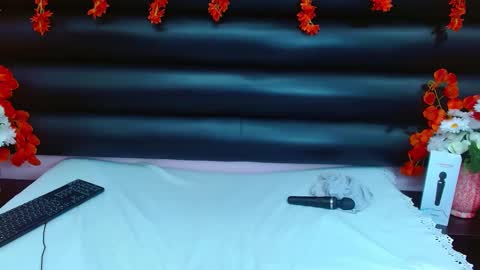 Snapshot of alasmith_ chatting on January 29, 4:58 am AlaSmith online show from January 29, 4:58 am