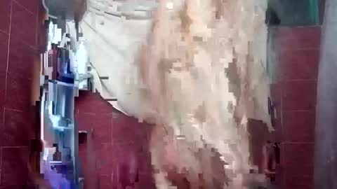 Snapshot of alejandrochao84 chatting on October 5, 5:17 am alejandrochao84 online show from October 5, 5:17 am