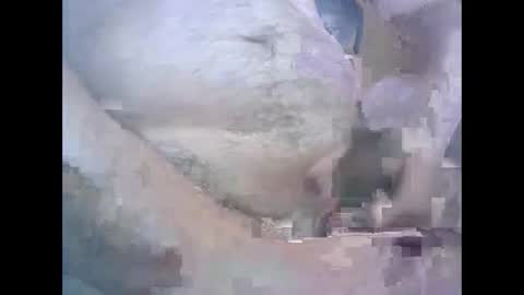 aleksandarcoabatica online show from October 22, 8:58 am