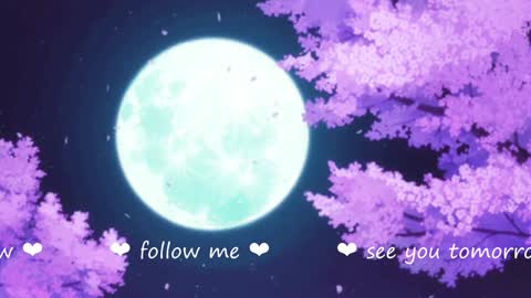     online show from December 19, 2:23 am