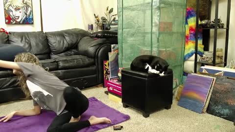 Alexa  GW online show from December 17, 3:39 am