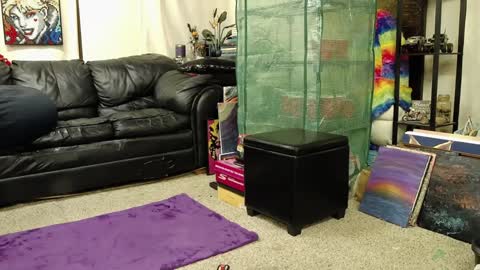 Alexa  GW online show from December 18, 4:20 am