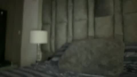 alexander grey online show from November 28, 11:02 am