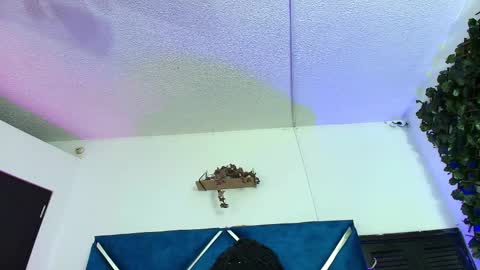 Alexa online show from February 24, 1:47 am