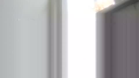 JamesB online show from November 9, 1:53 pm