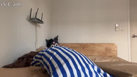 alexfilmx online show from October 16, 7:31 am