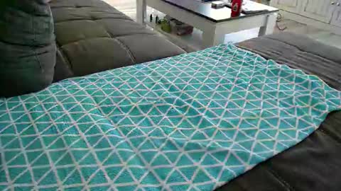 Snapshot of alexfresh84 chatting on December 24, 11:49 am Doggystyle online show from December 24, 11:49 am