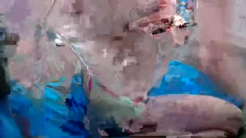 Snapshot of alexfresh84 chatting on December 25, 6:52 pm Doggystyle online show from December 25, 6:52 pm