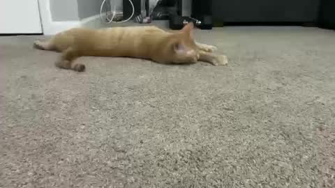 Snapshot of alexispaige06 chatting on October 11, 7:01 pm alexispaige06 online show from October 11, 7:01 pm