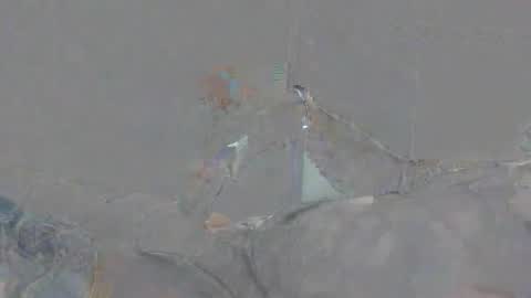 Snapshot of alexsmith9876 chatting on April 2, 2:15 pm Alexsmith9876 online show from April 2, 2:15 pm
