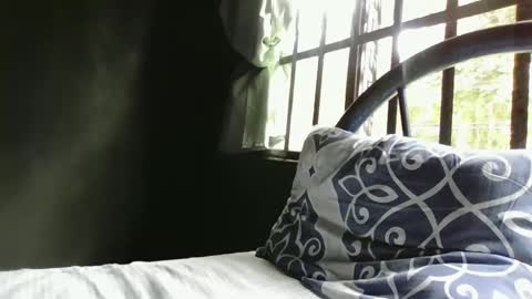 Alex online show from December 29, 5:01 pm