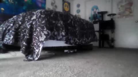 Alex Vines online show from March 14, 3:50 pm