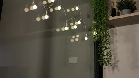 Snapshot of alexwos chatting on January 23, 6:17 am Alex online show from January 23, 6:17 am