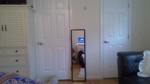 Snapshot of alfal21 chatting on May 7, 9:42 pm alfal21 online show from May 7, 9:42 pm