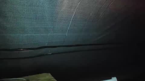 Snapshot of alfiesolomons87 chatting on September 9, 2:11 am alfiesolomons87 online show from September 9, 2:11 am