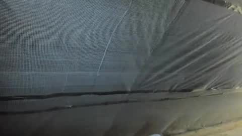 Snapshot of alfiesolomons87 chatting on October 2, 12:12 pm alfiesolomons87 online show from October 2, 12:12 pm