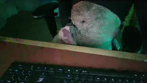 algo_piola online show from July 18, 10:46 pm