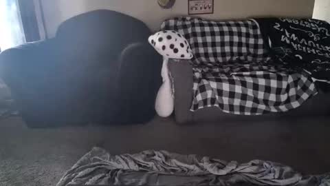 Snapshot of alice_leray chatting on May 26, 10:50 pm alice_leray online show from May 26, 10:50 pm
