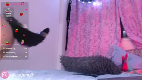 Snapshot of alicedang3r chatting on December 15, 5:13 am Alice online show from December 15, 5:13 am