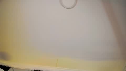 ALICE  online show from February 18, 6:53 am