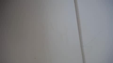 Snapshot of alicia_wonder_dl chatting on February 17, 12:05 pm Ali online show from February 17, 12:05 pm