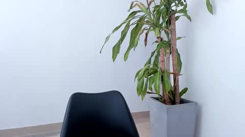 Alice online show from October 26, 3:18 pm