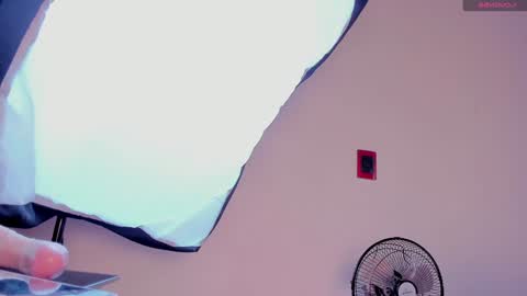 Snapshot of aliice_smithh chatting on December 20, 12:49 pm Alice online show from December 20, 12:49 pm